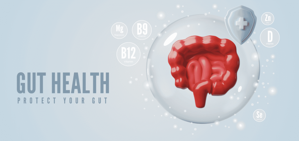 How to Improve Your Gut Health